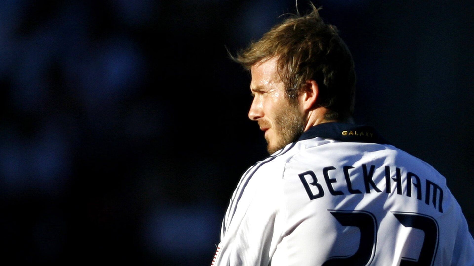 猛龙巅峰对决,锡安大场面先生力克骑士